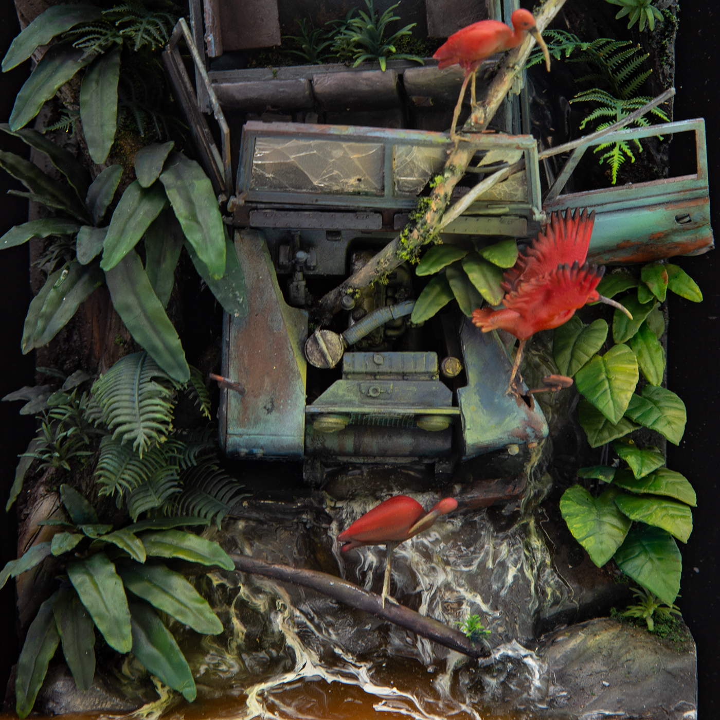 Ibis